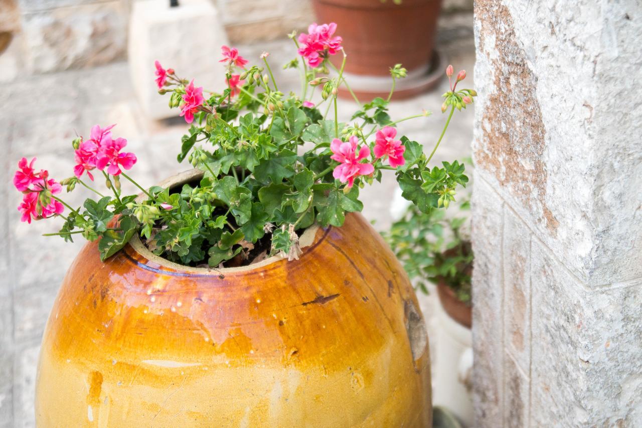 Giardino Segreto Bed & Breakfast Putignano Exterior foto