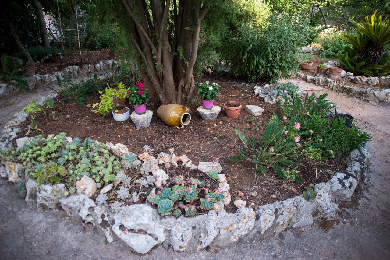 Giardino Segreto Bed & Breakfast Putignano Exterior foto
